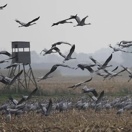 Holiday Luett Matten Zingst