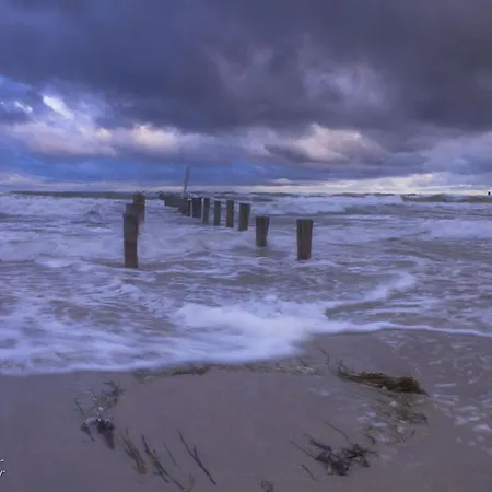 Holiday Luett Matten Appartement Zingst